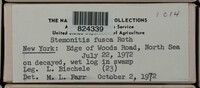 Image Associated With the Occurence